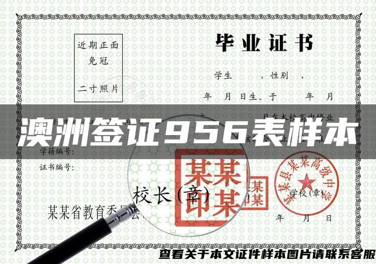 澳洲簽證956表樣本