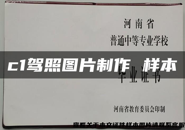 c1駕照圖片制作 樣本