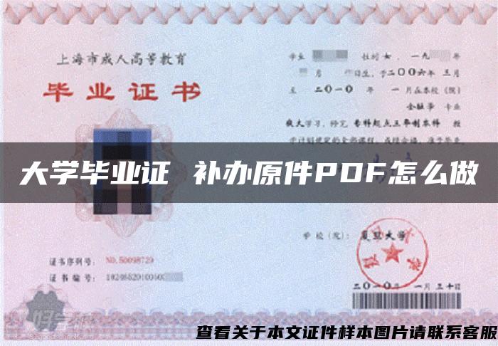 大學畢業證 補辦原件PDF怎么做