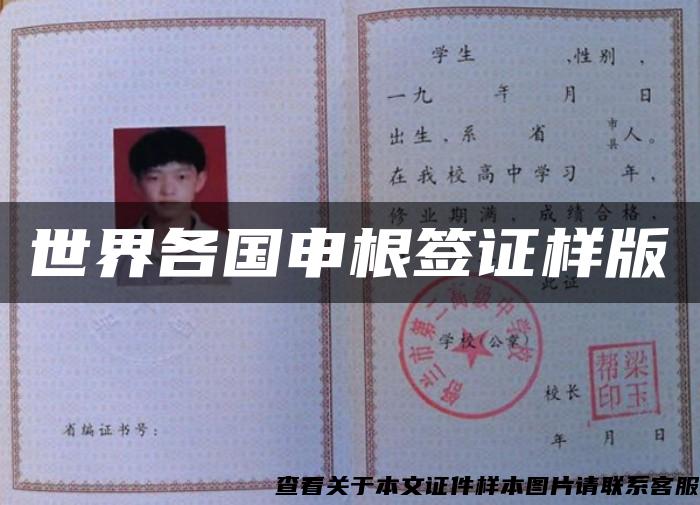 世界各國申根簽證樣版