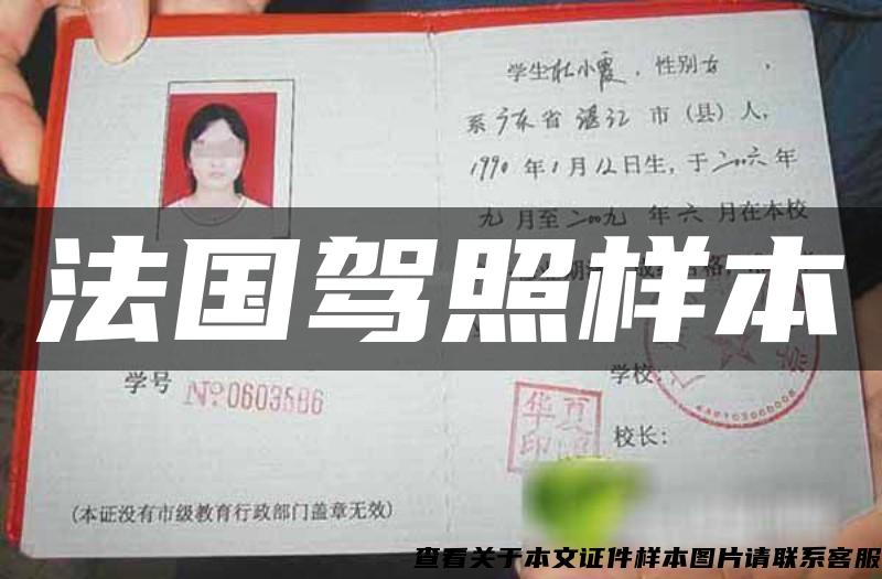 法國駕照樣本
