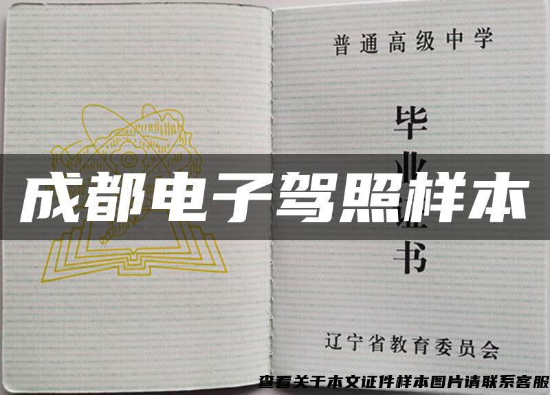 成都電子駕照樣本