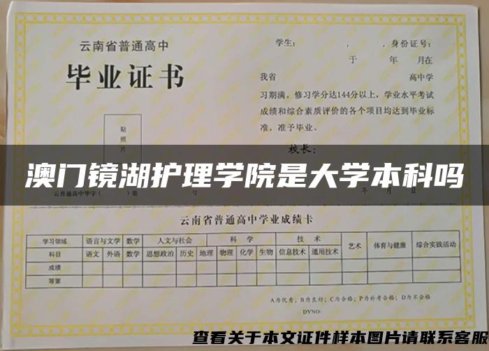 澳門鏡湖護理學院是大學本科嗎