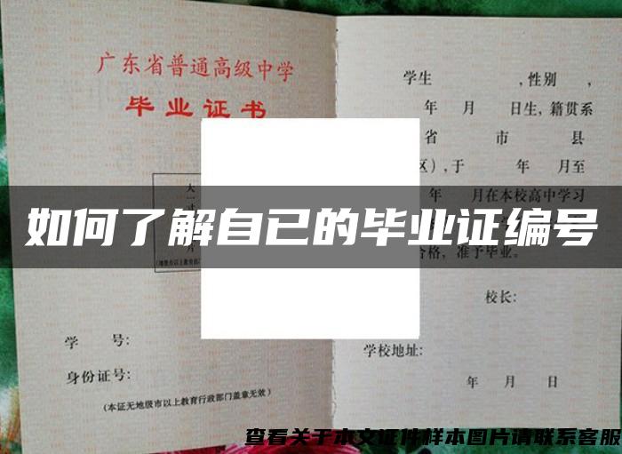 如何了解自已的畢業證編號