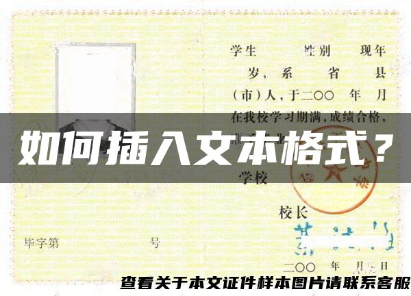 如何插入文本格式？