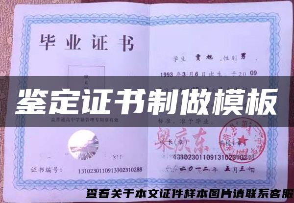 鑒定證書制做模板