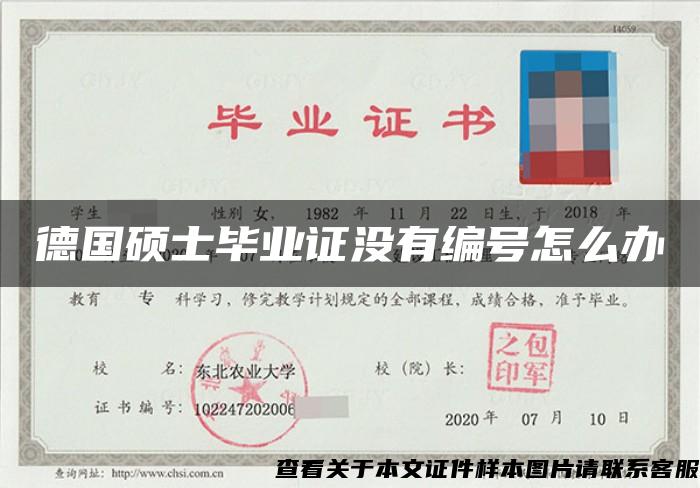 德國碩士畢業證沒有編號怎么辦
