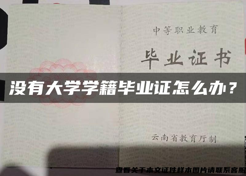 沒有大學學籍畢業證怎么辦？