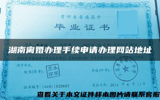 湖南離婚辦理手續申請辦理網站地址