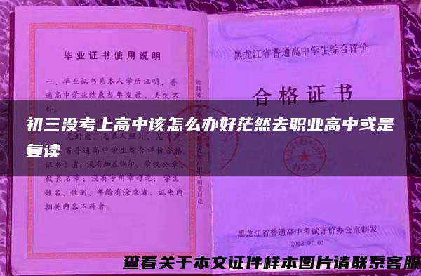 初三沒考上高中該怎么辦好茫然去職業高中或是復讀