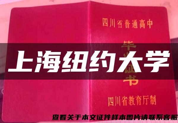 上海紐約大學