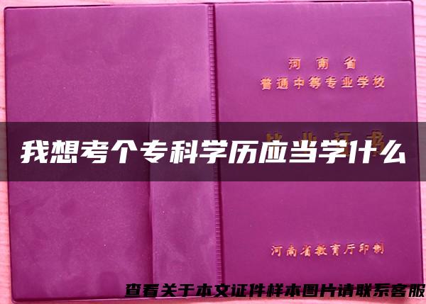 我想考個?？茖W歷應當學什么