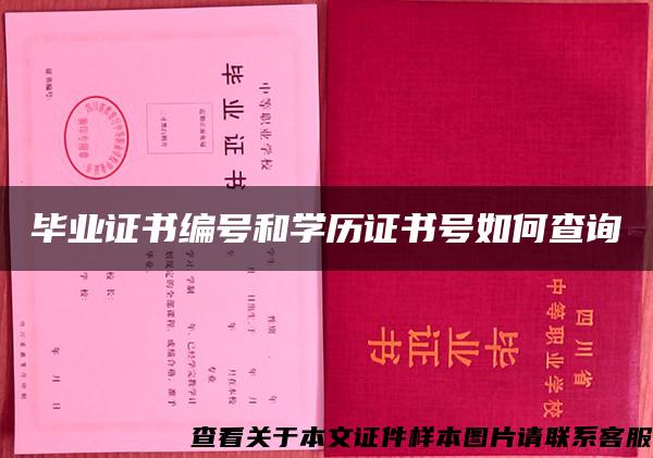 畢業證書編號和學歷證書號如何查詢