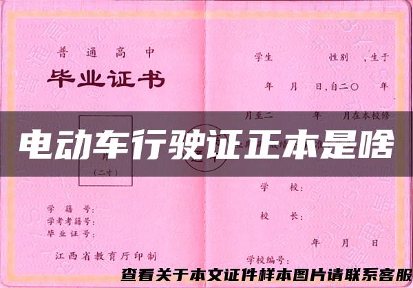 電動車行駛證正本是啥