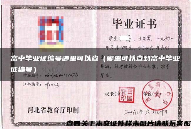 高中畢業證編號哪里可以查（哪里可以查到高中畢業證編號）