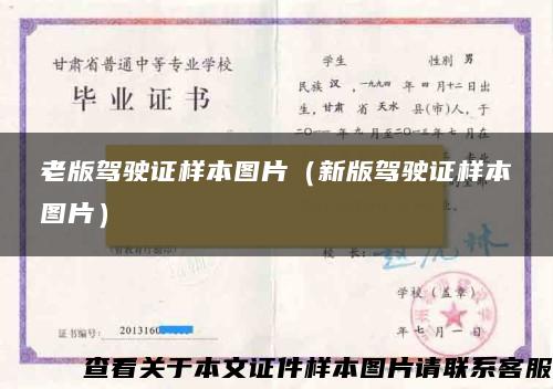 老版駕駛證樣本圖片（新版駕駛證樣本圖片）