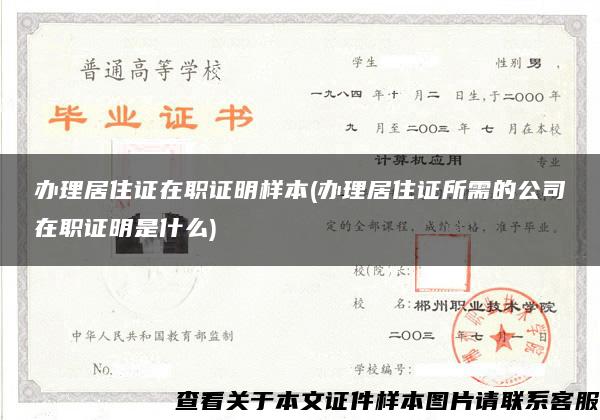 辦理居住證在職證明樣本(辦理居住證所需的公司在職證明是什么)