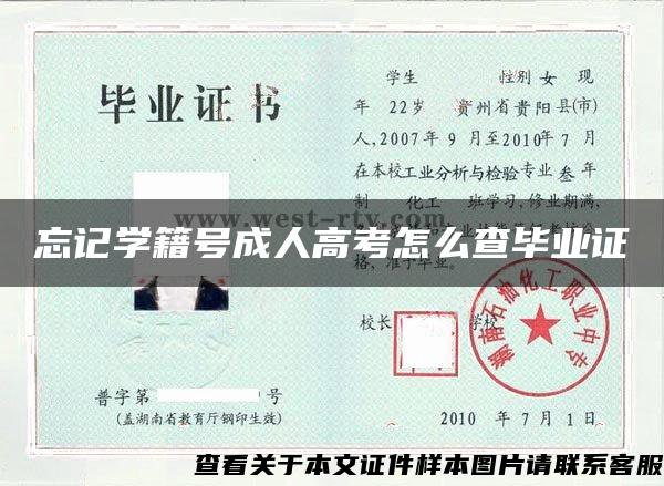 忘記學籍號成人高考怎么查畢業證