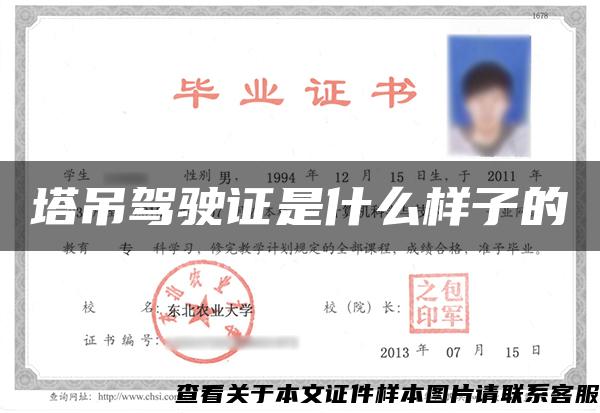 塔吊駕駛證是什么樣子的