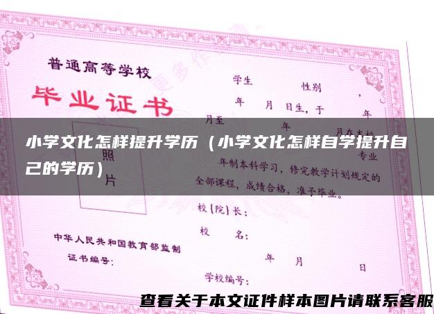 小學文化怎樣提升學歷（小學文化怎樣自學提升自己的學歷）