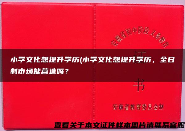 小學文化想提升學歷(小學文化想提升學歷，全日制市場能營造嗎？