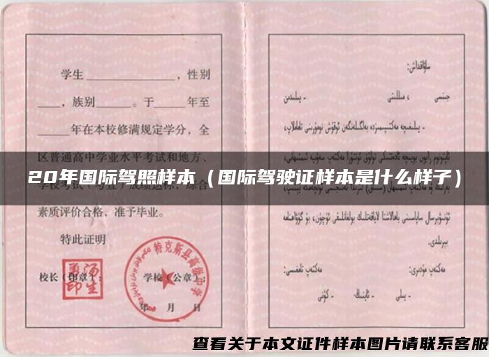 20年國際駕照樣本（國際駕駛證樣本是什么樣子）