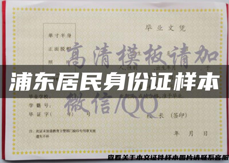 浦東居民身份證樣本