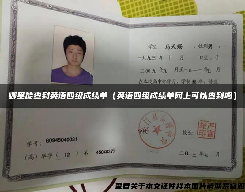 哪里能查到英語四級成績單（英語四級成績單網上可以查到嗎）