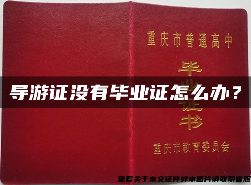 導游證沒有畢業證怎么辦？