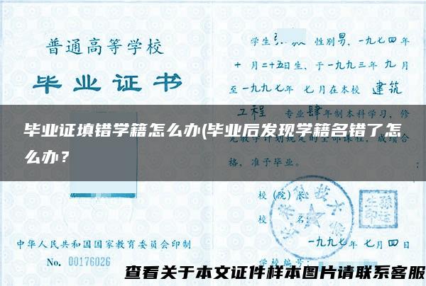 畢業證填錯學籍怎么辦(畢業后發現學籍名錯了怎么辦？