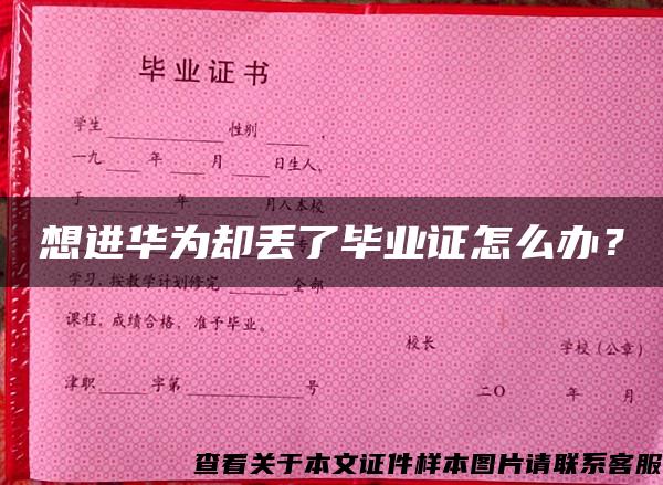 想進華為卻丟了畢業證怎么辦？