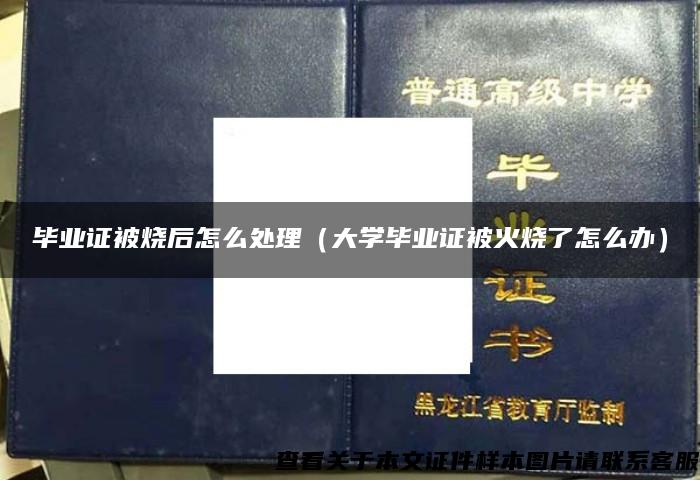 畢業證被燒后怎么處理（大學畢業證被火燒了怎么辦）