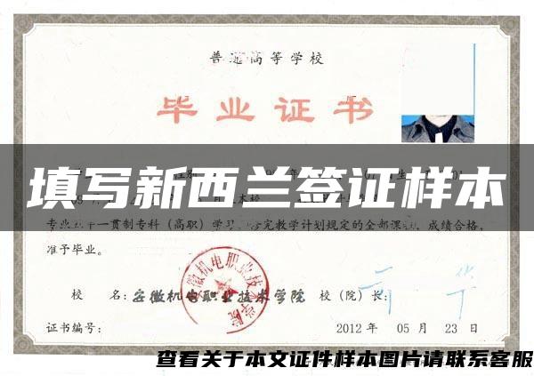 填寫新西蘭簽證樣本