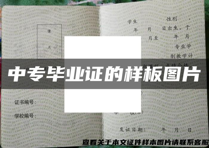 中專畢業證的樣板圖片
