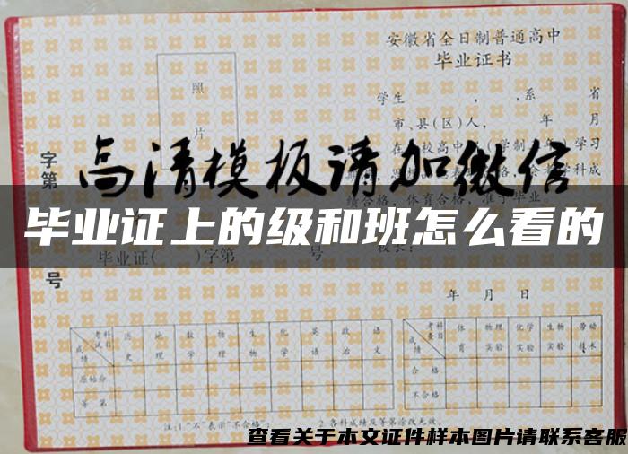 畢業證上的級和班怎么看的