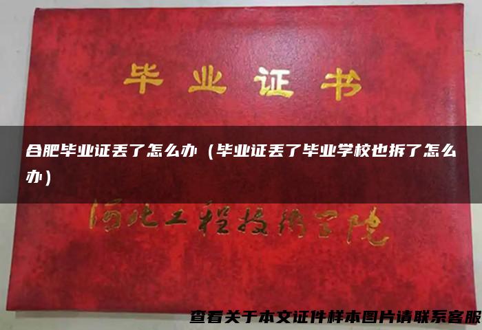 合肥畢業證丟了怎么辦（畢業證丟了畢業學校也拆了怎么辦）
