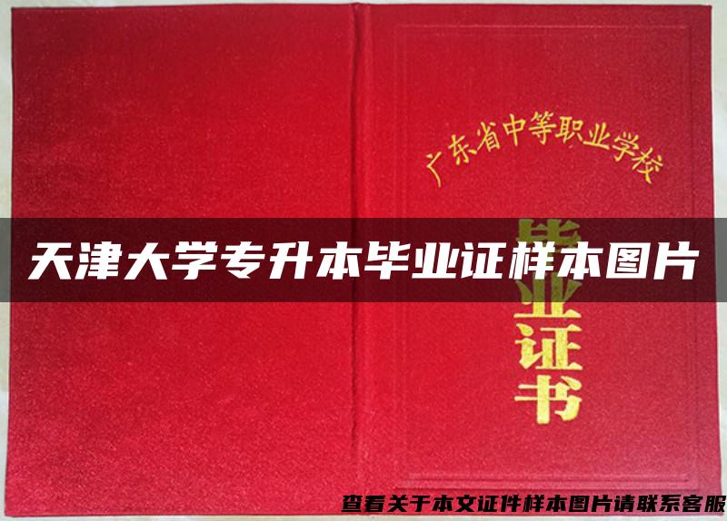 天津大學專升本畢業證樣本圖片