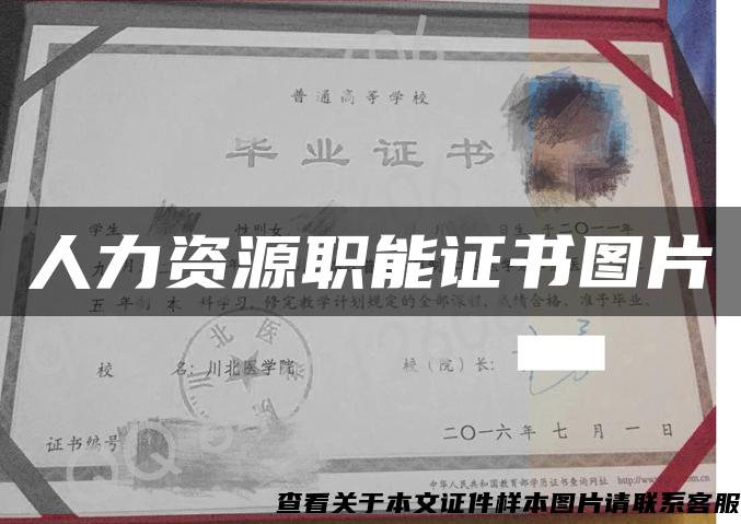 人力資源職能證書圖片
