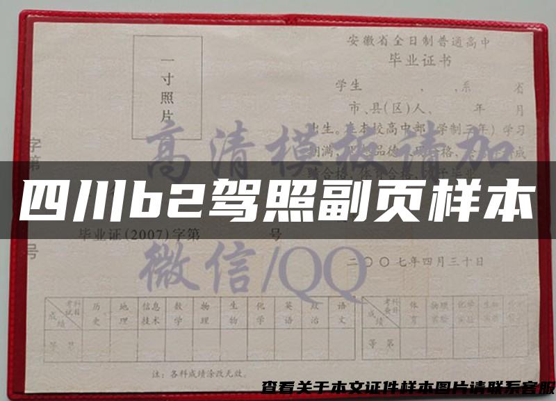四川b2駕照副頁樣本
