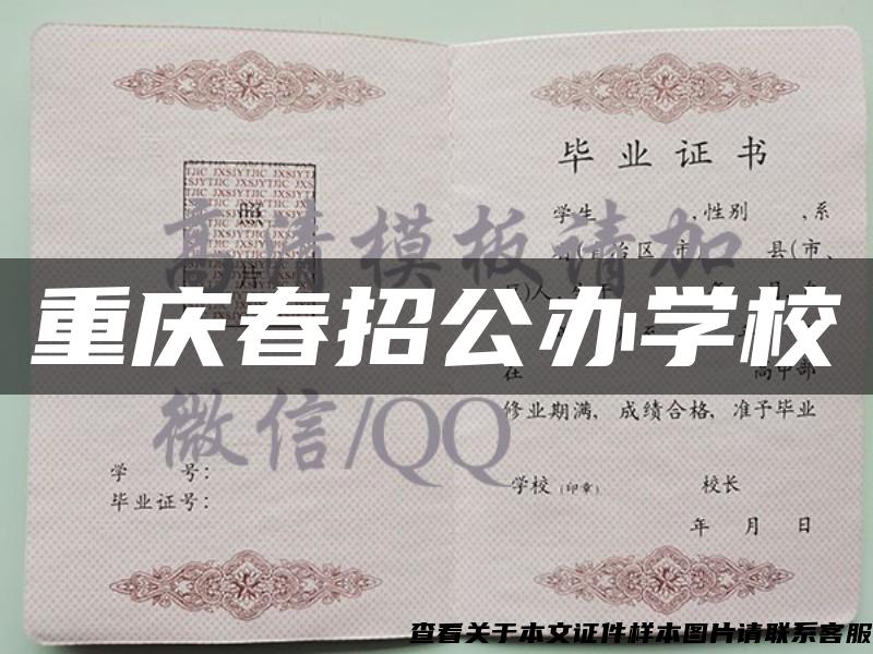 重慶春招公辦學校