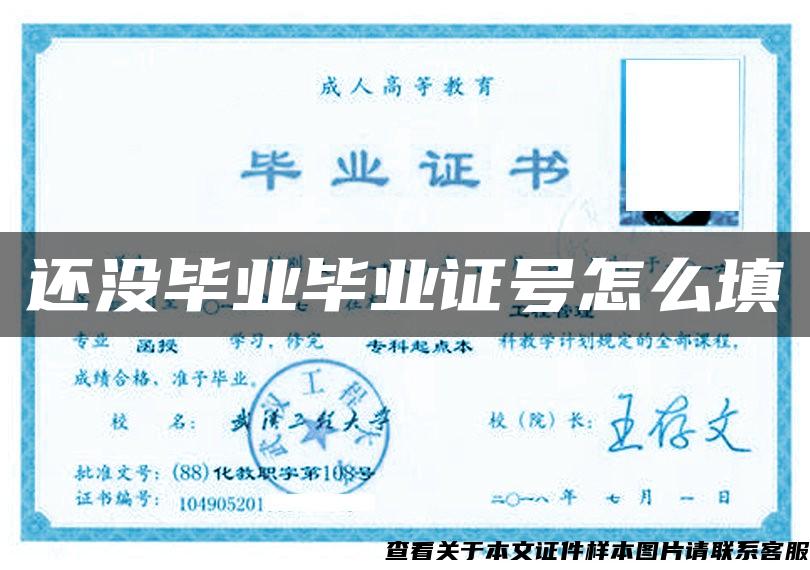 還沒畢業畢業證號怎么填