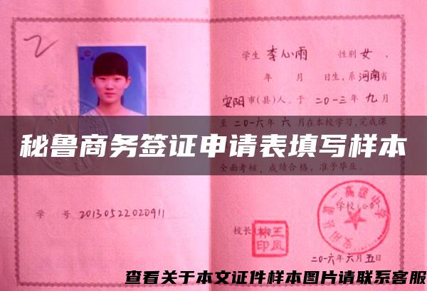 秘魯商務簽證申請表填寫樣本