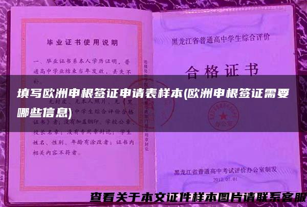 填寫歐洲申根簽證申請表樣本(歐洲申根簽證需要哪些信息)