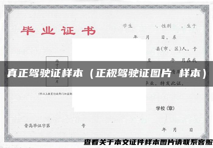 真正駕駛證樣本（正規駕駛證圖片 樣本）