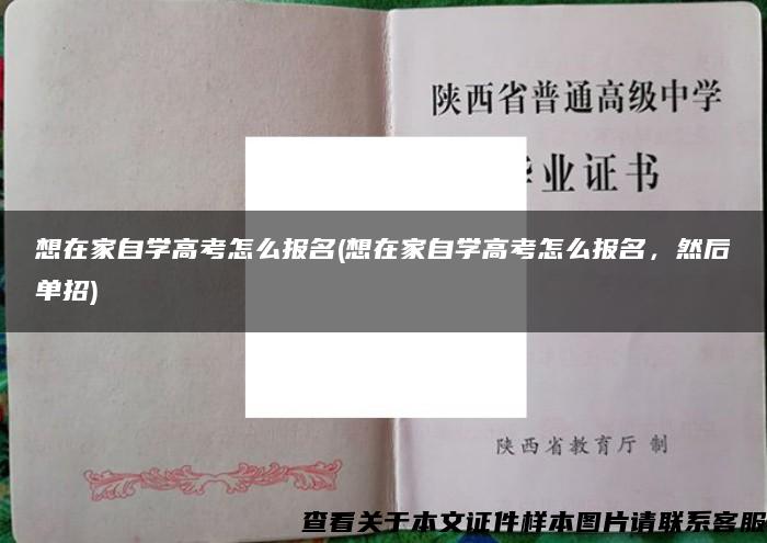 想在家自學高考怎么報名(想在家自學高考怎么報名，然后單招)