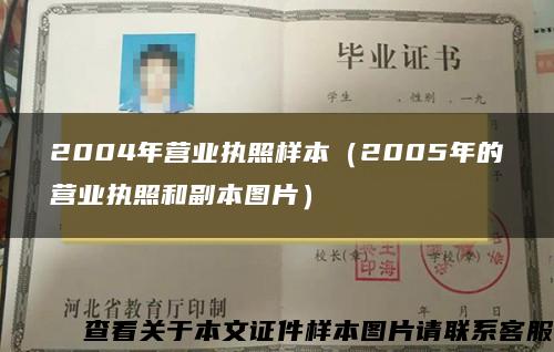 2004年營業執照樣本（2005年的營業執照和副本圖片）