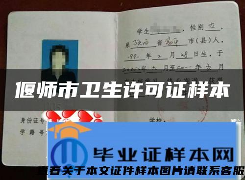 偃師市衛生許可證樣本