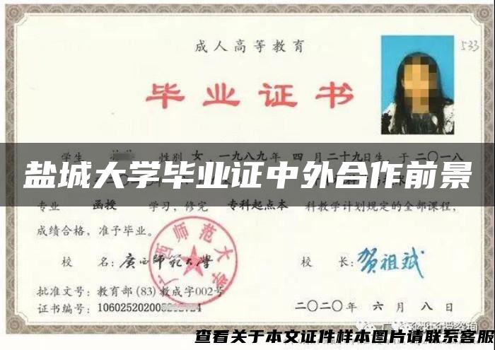 鹽城大學畢業證中外合作前景
