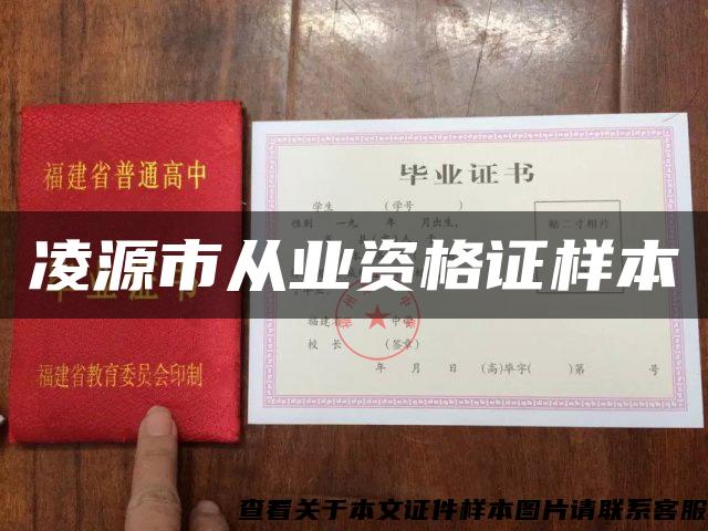 凌源市從業資格證樣本