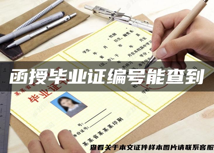 函授畢業證編號能查到